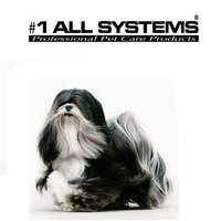 #1 All Systems Shampoo