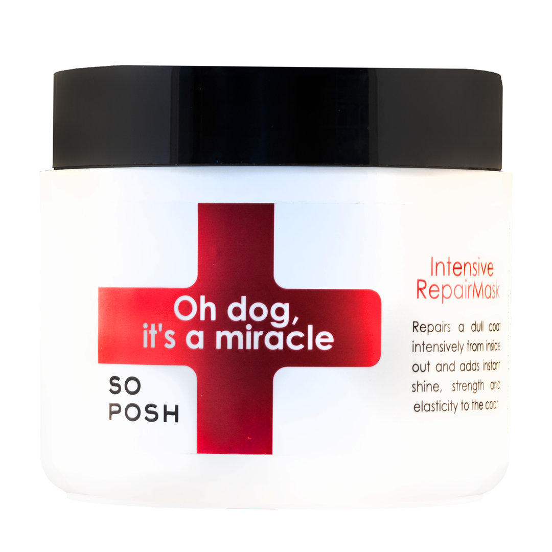 SO POSH - Oh Dog, It's a Miracle Mask