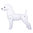 Starzclub Mallikoira - Model Dog Bichon Frise