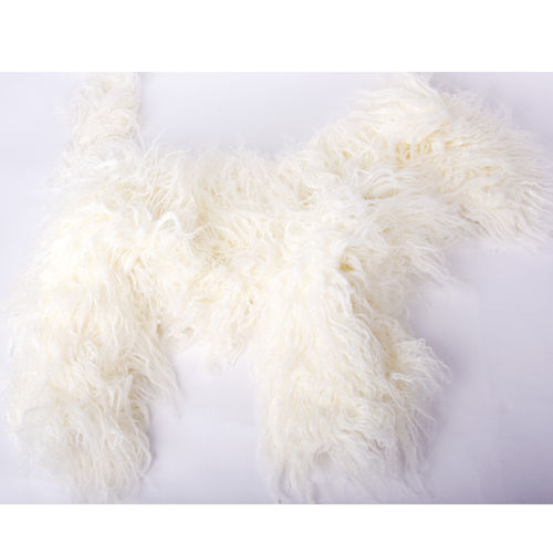 Starzclub Bichon White Coat for Model Dog
