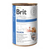 Brit GF Vet Diet Dog-Cat Can Recovery 400 g