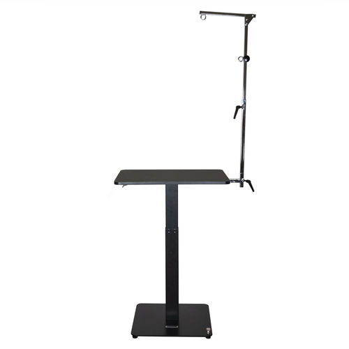 Groom-X Air Lift Pro Grooming Table with Control Post